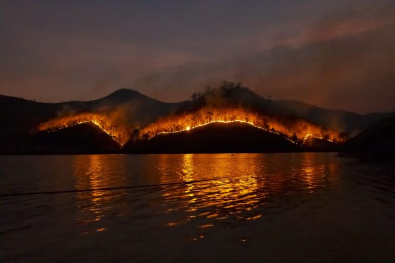 Incendi, 198 roghi in Sicilia nel fine settimana: il bilancio tra Canadair, elicotteri e Corpo forestale