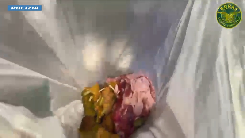 VIDEO| Controlli alla Scogliera e alla Playa, distrutti 15 chili di carne: accertato passaggio di virus, allergeni e sostanze chimiche