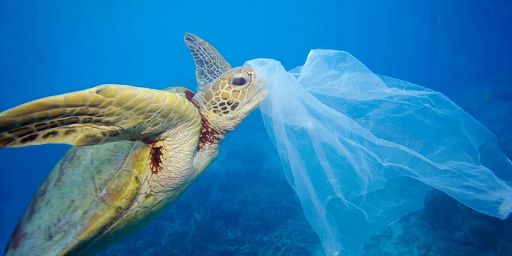 Wwf: Quest’anno il Plastic Overshoot Day 2026 arriva il 6 settembre