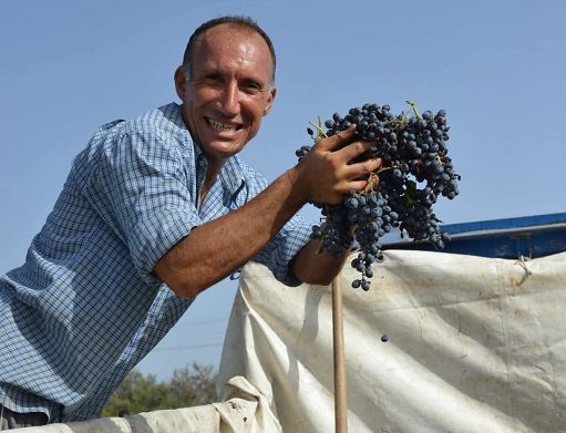 A Pachino nasce il “Cammino del vino” per la Festa della vendemmia