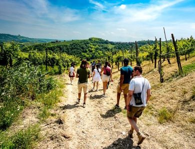 Ais Toscana e Movimento turismo del vino rinnovano collaborazione