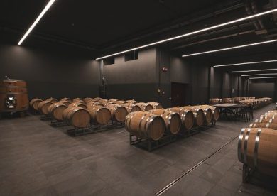 Pio Cesare rinnova cantina di Alba: dopo 145 anni spazio ai bianchi