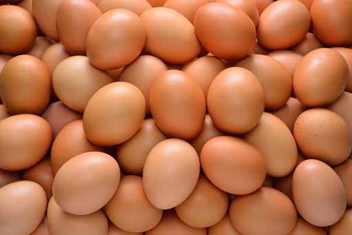 Gruppo Végé abbandona uova galline in gabbia, svolta in Gdo Italia
