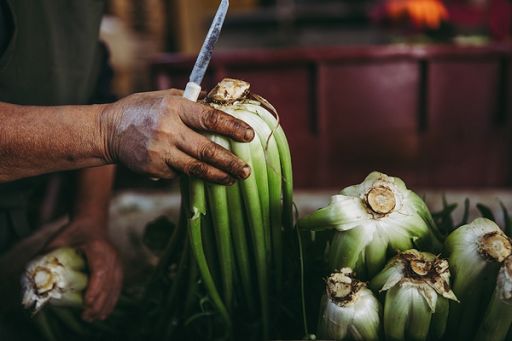 Cnr: con più luce agli ortaggi aumenta contenuto di vitamina B9