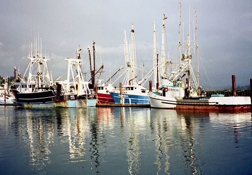 Federpesca: Ue cambi rotta nelle politiche per la pesca Federpesca: Ue cambi rotta nelle politiche per la pesca