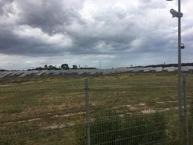Da Consulta divieto a fotovoltaico a terra in aree agricole