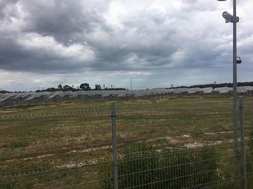 Da Consulta divieto a fotovoltaico a terra in aree agricole