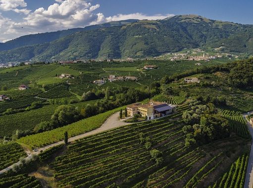 Vino, Canevel da 10 anni nel Gruppo Masi: business raddoppiato
