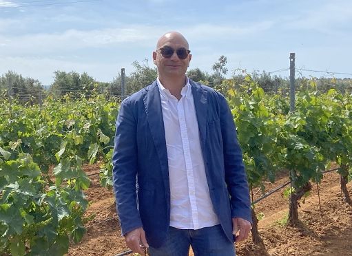 Consorzi e territori raccontano la vendemmia come esperienza turistica