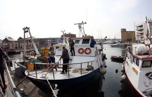 Industria ittica Usa contro sistema Catch Ue: penalizza pesca legale Industria ittica Usa contro sistema Catch Ue: penalizza pesca legale
