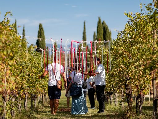 ”Profumi di Mosto” compie 25 anni: in Valtènesi 24 Cantine aperte