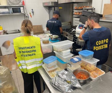 Blitz in un bar nei pressi di piazza Michelangelo: sequestrati oltre 200 kg di alimenti, denunce e maxi sanzioni