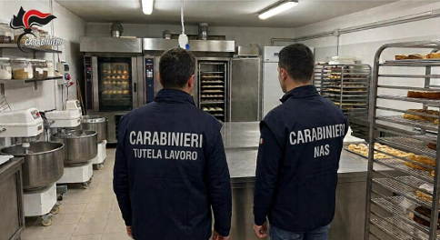Blatte morte, ragni e muffa: sequestrati 600 kg di cibo in un noto bar-pizzeria di Catania