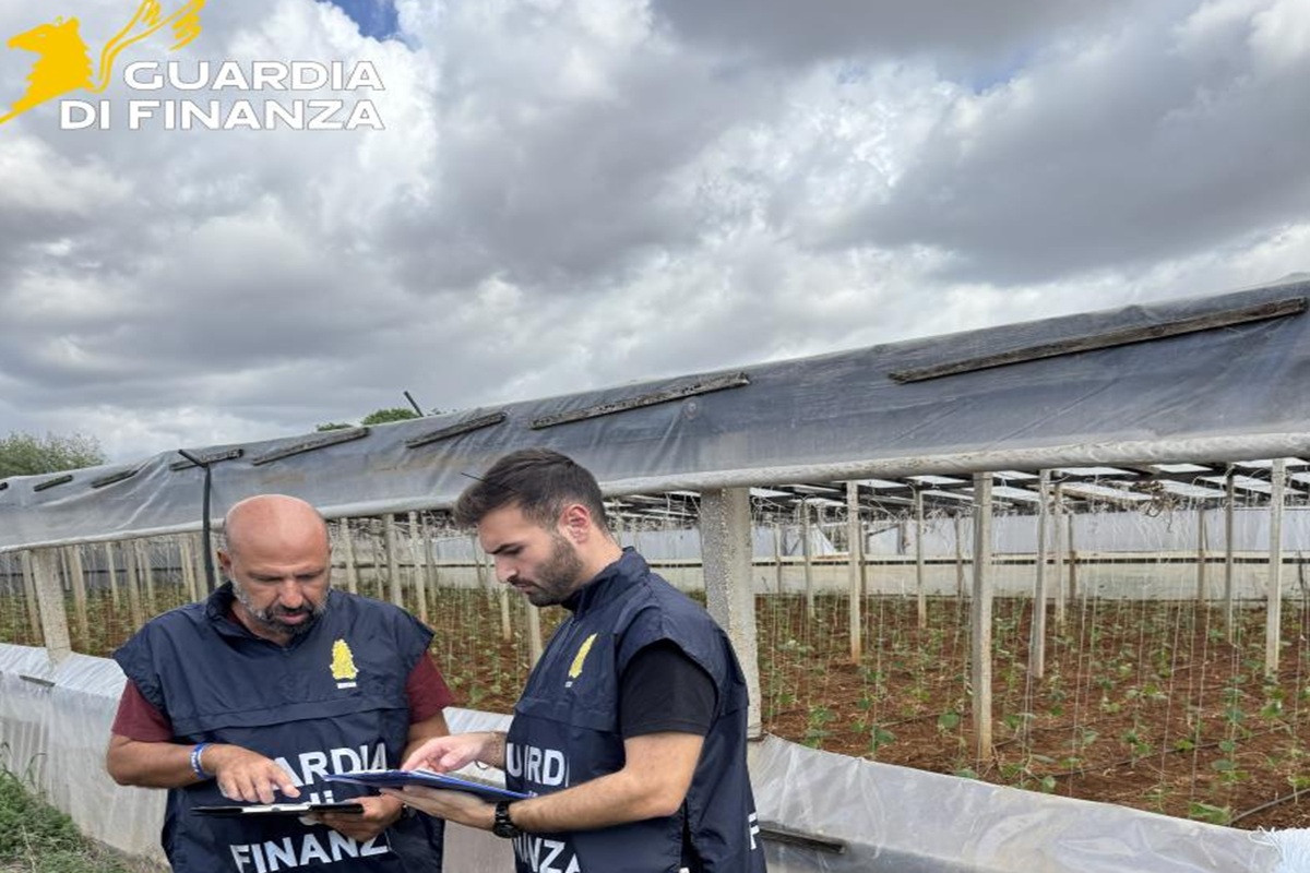 Diversi lavoratori irregolari nelle aziende agricole, scattano sanzioni nel Trapanese Diversi lavoratori irregolari nelle aziende agricole, scattano sanzioni nel Trapanese