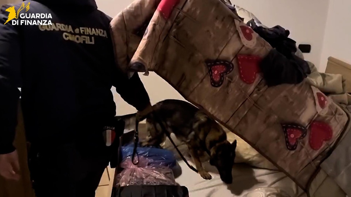 VIDEO | Tra droga e altri business mafiosi, le immagini del blitz tra Catania e Siracusa