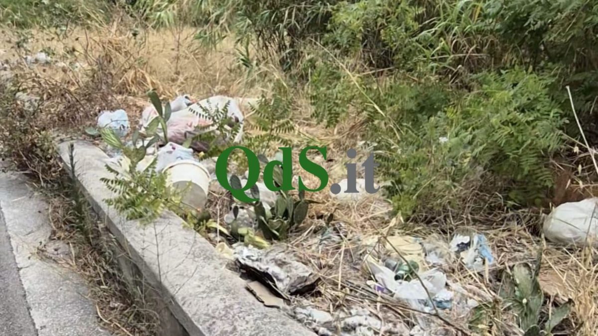 VIDEO | Palermo, discarica abusiva a Boccadifalco: “Situazione vergognosa!