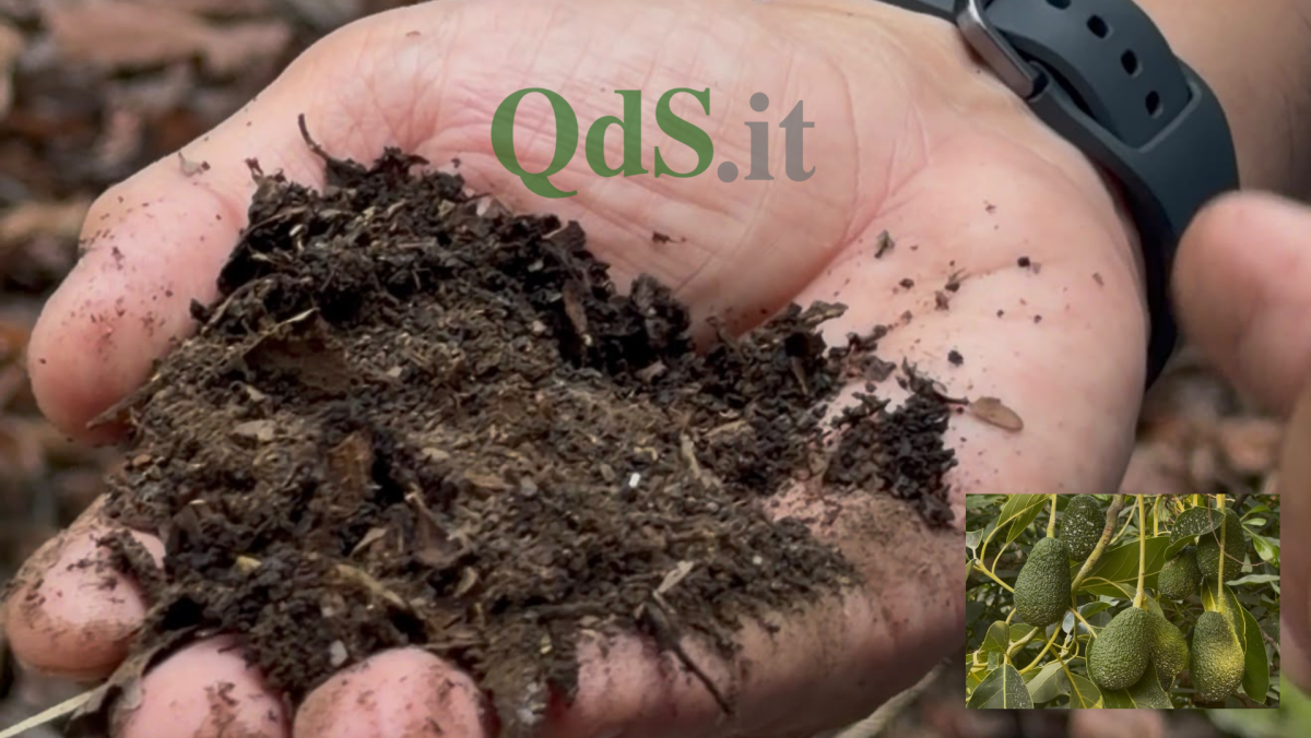 VIDEO| Terra dell’Etna, l’altra faccia del vulcano. Andrea Passanisi: “Alimentazione naturale per le piante”