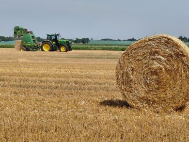 Agricoltura siciliana, dall’Ars 49 milioni per sostenere il settore: aiuti anche contro il caro gasolio