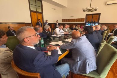 Vertenza Pfizer, rinviata riunione al Mimit sugli esuberi e i sindacati: “Stanno giocando con 540 dipendenti”