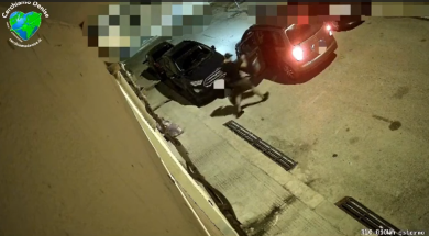 VIDEO | Mastelli rubati e lasciati nel luogo della scomparsa di Denise Pipitone, la denuncia della madre