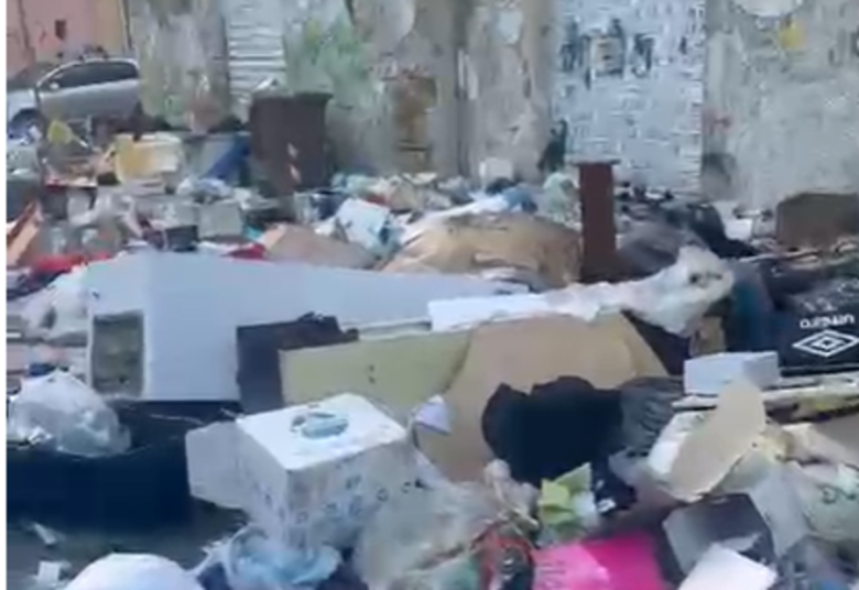 VIDEO | Palermo, rifiuti e degrado a pochi passi dal dipartimento di Giurisprudenza