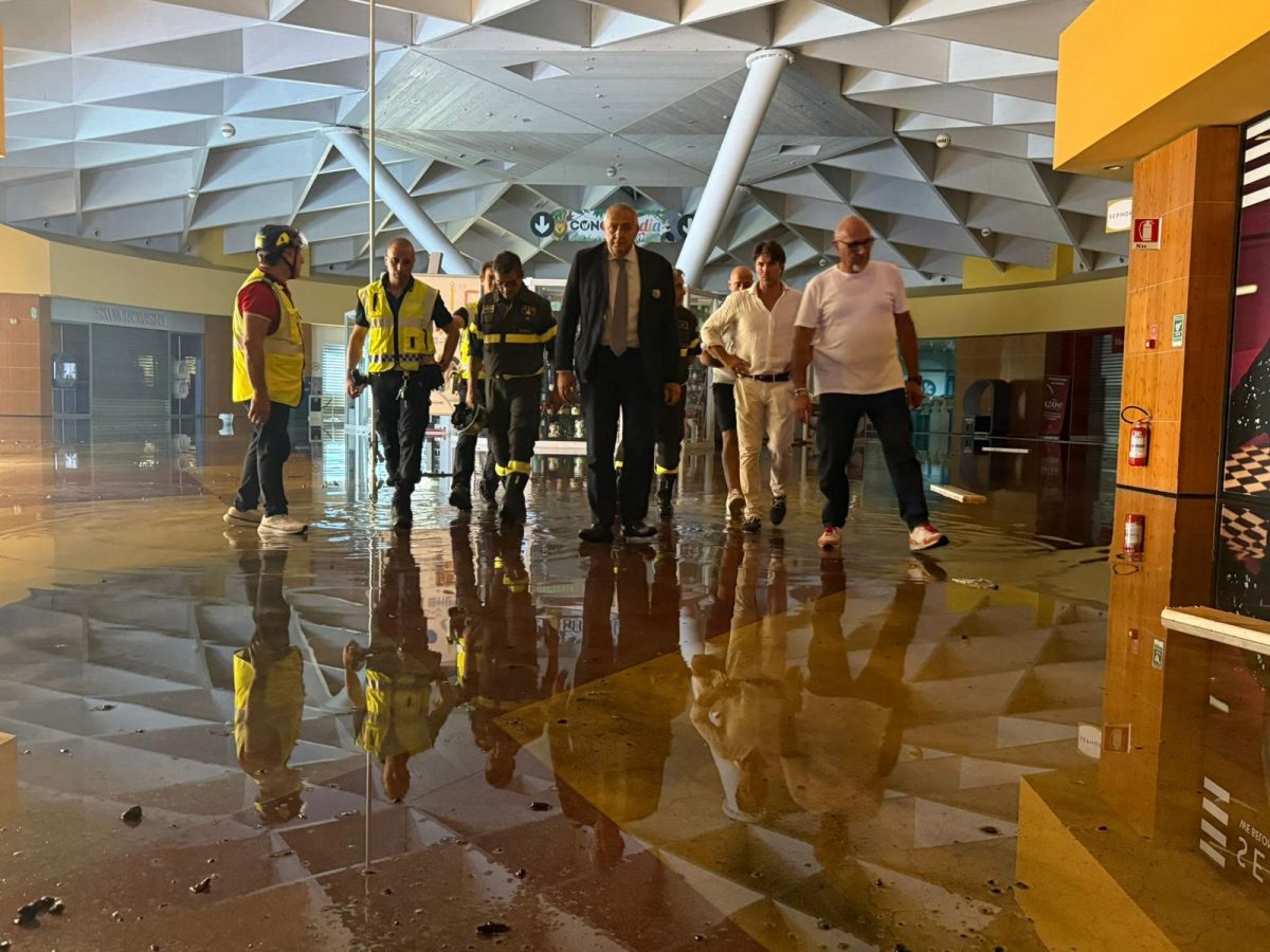 L’inferno del Conca d’Oro a Palermo, danni ingenti e lavoratori preoccupati: “È stato terribile” L’inferno del Conca d’Oro a Palermo, danni ingenti e lavoratori preoccupati: “È stato terribile”
