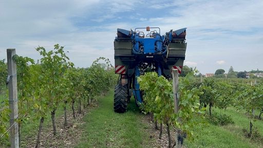 Confagricoltura: riduzione 20% carburante agricolo ottima notiza