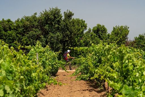 Al TTG di Rimini il forum di Agriturist sul turismo esperienziale