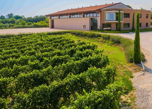 Vino, a Sirmione dal 16 al 19 ottobre debutta il “Lugana Festival” Vino, a Sirmione dal 16 al 19 ottobre debutta il “Lugana Festival”