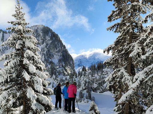 Trenino Verde delle Alpi porta sulla vetta bernese dello Stockhorn