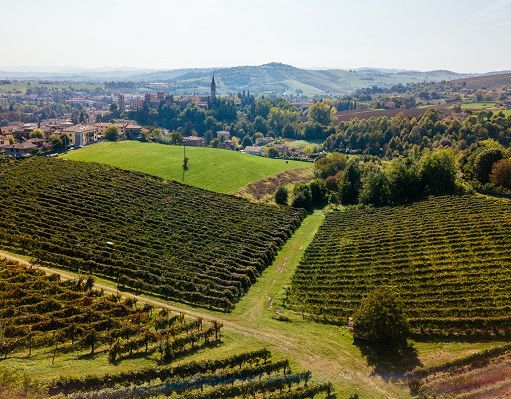 Cantina Settecani cresce dell’8% e raggiunge 7,3 mln di ricavi