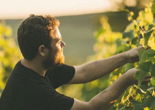 Feuillatte celebra 50 anni con serie limitata Réserve Exclusive Brut