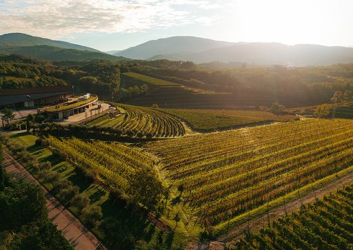 Zorzettig inaugura Cantina Viva e collaborazione con D’Attoma