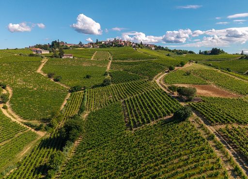 Consorzio Vini d’Acqui incontra gastronomia indiana a ProWein Mumbai