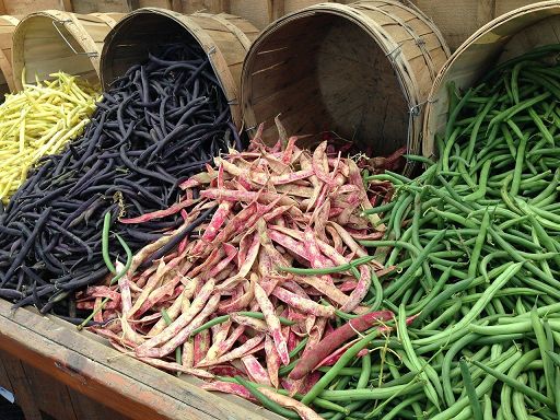 La ricerca Crea su cereali e legumi al convegno Aistec a Foggia
