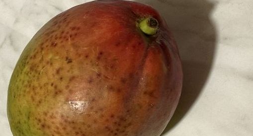 Il mito del mango, tra i frutti tropicali più consumati sul pianeta
