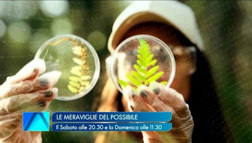 La ricerca del Cnr va in tv con “Le Meraviglie del Possibile”