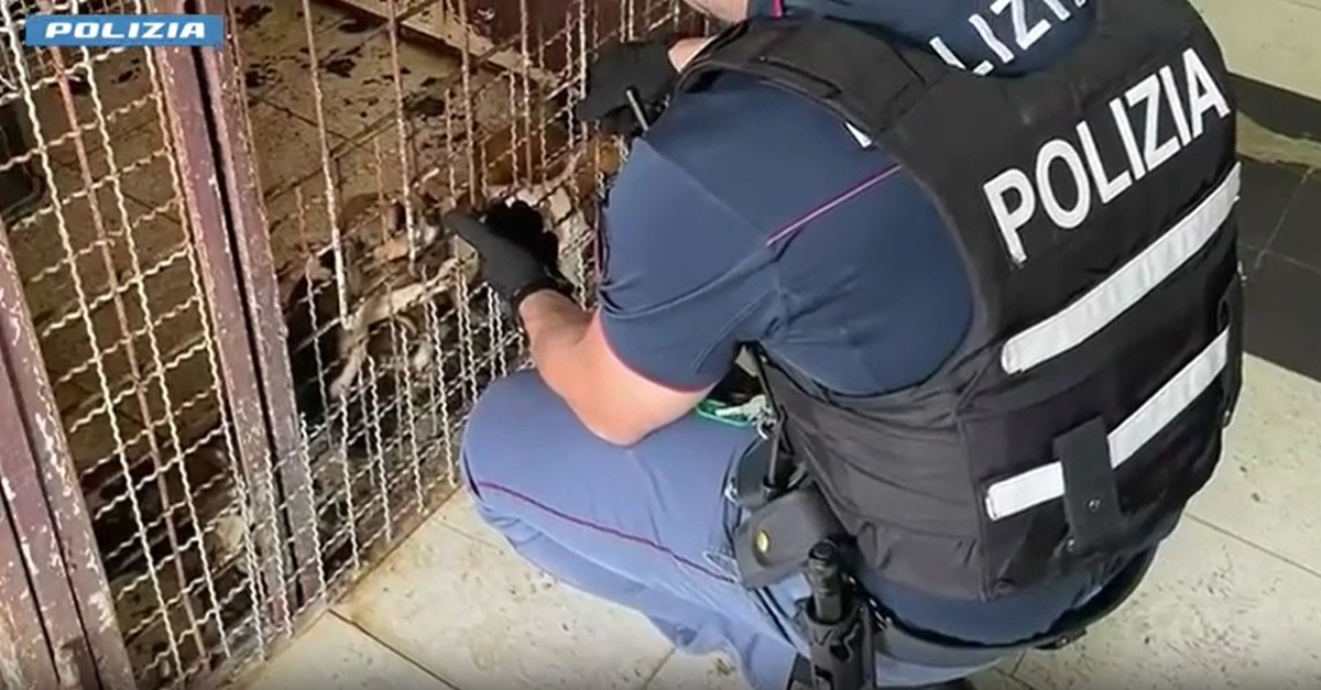 VIDEO | Cagnolini e furetti stipati in gabbie piccole e sporche, interviene la polizia a Librino