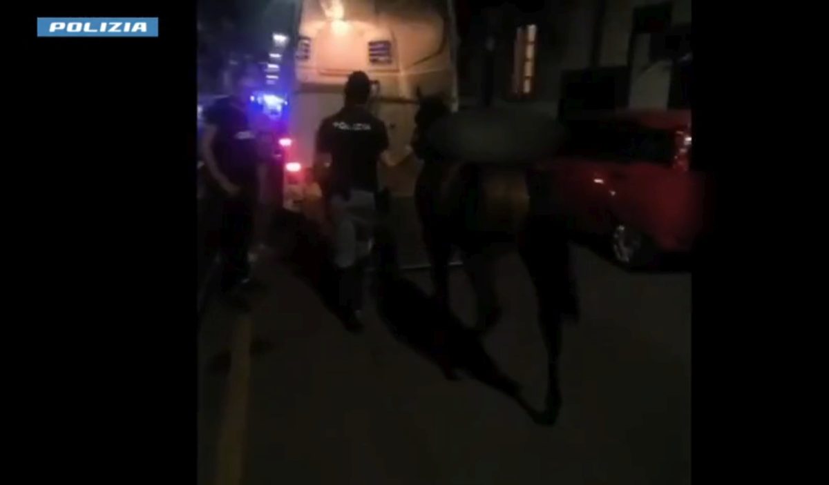 VIDEO | Scoperta corsa clandestina di cavalli a Palagonia, puledro sequestrato e cinque denunce