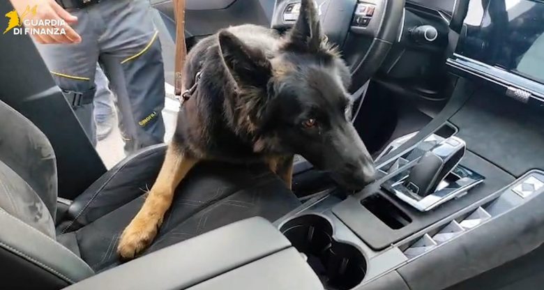 VIDEO | Auto piena di cocaina ai caselli Catania-San Gregorio, le immagini del sequestro