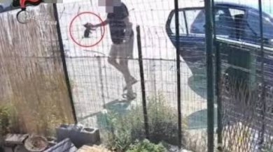 Si libera di 4 gattini lanciandoli in una colonia felina: follia a Riposto, denunciato