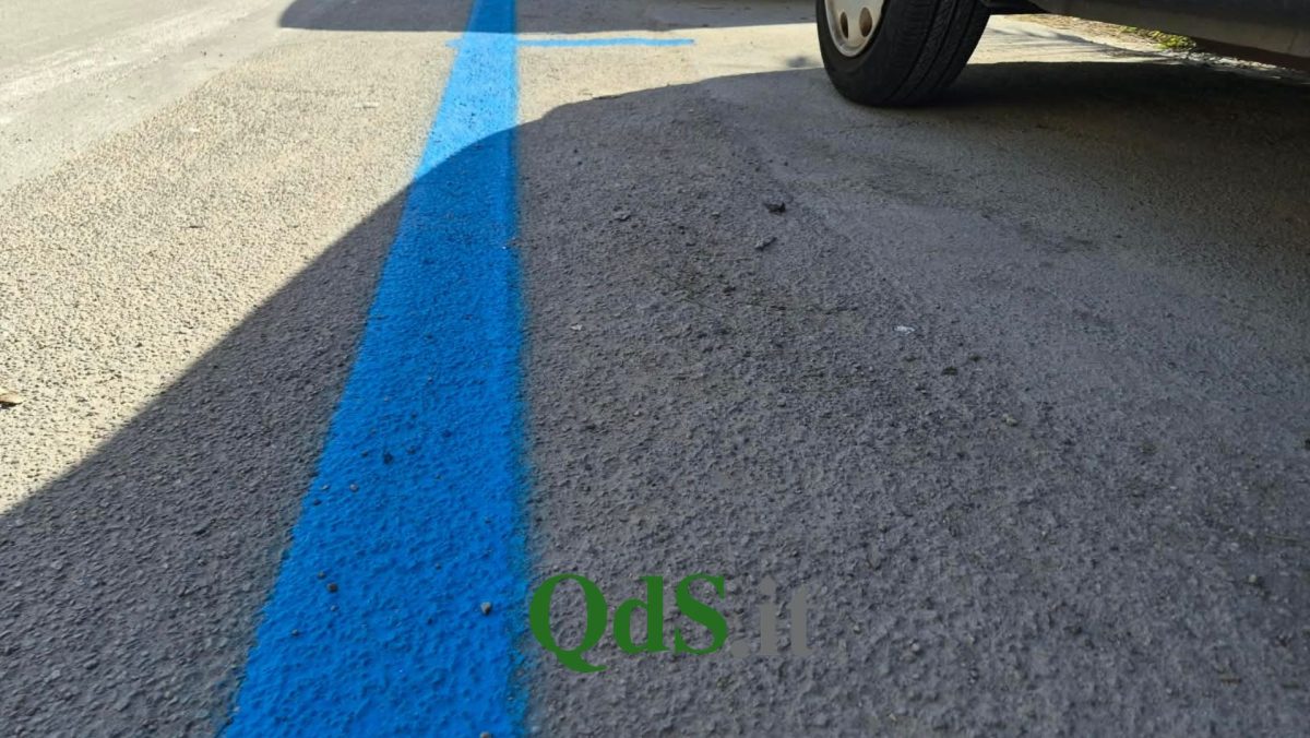 A Palermo cittadini infuriati per le strisce blu, l’assessore Falzone al QdS.it: “Tutto fatto secondo legge”