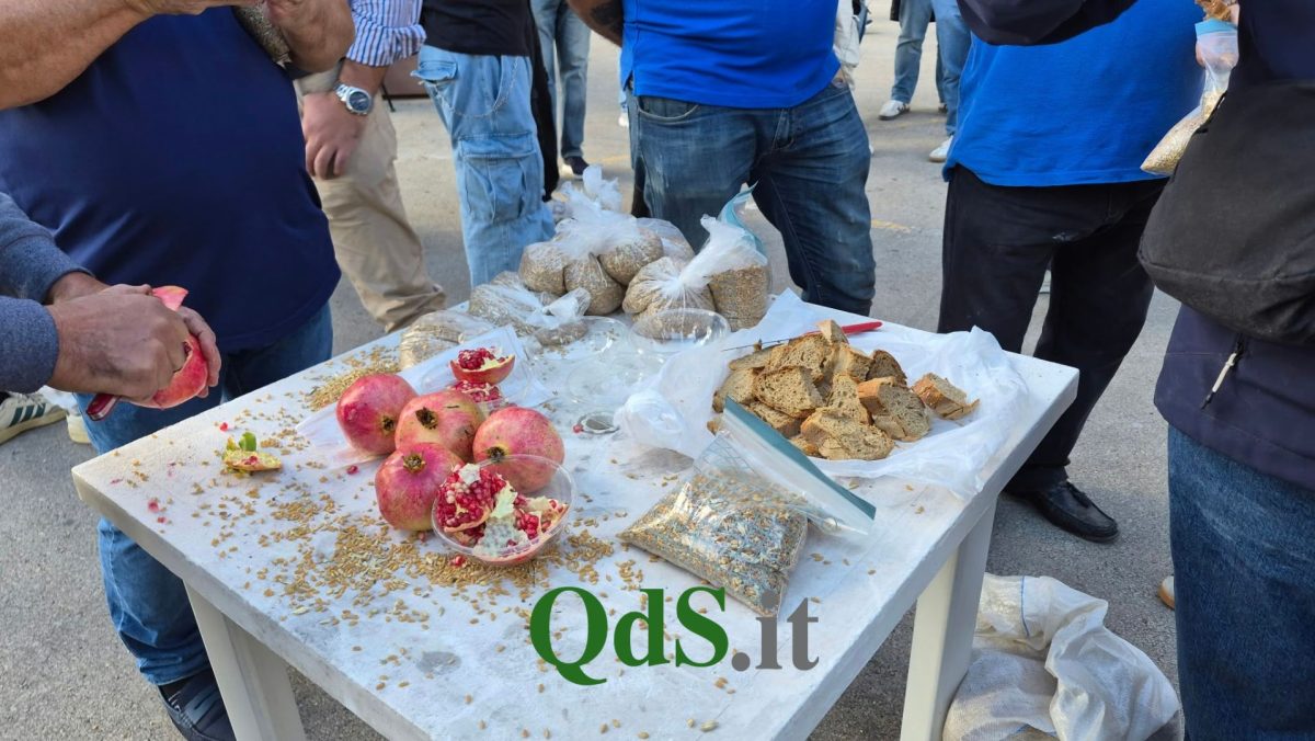 “Portare il costo del gasolio a quaranta centesimi, 95% dei terreni incolti”: sit-in agricoltori a Palermo