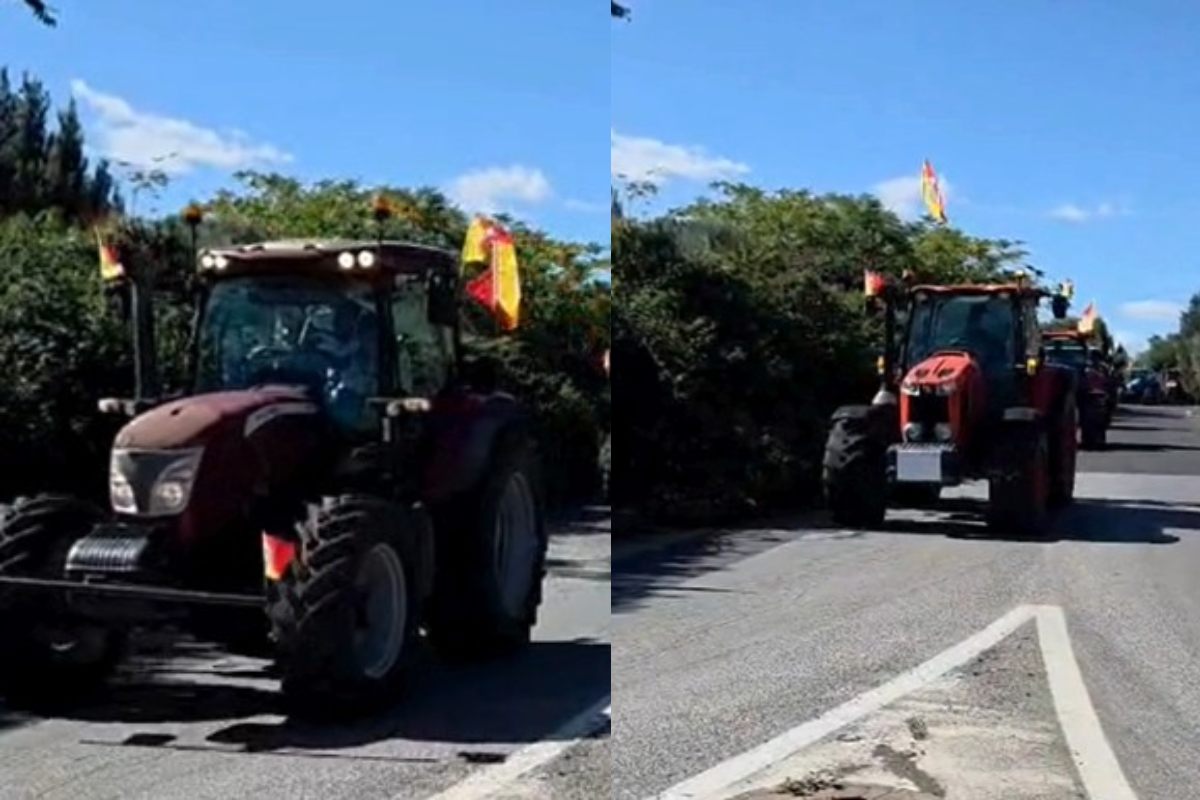 VIDEO | “A pagare sono sempre le famiglie e chi lavora nei campi”, la protesta dei trattori travolge il Catanese
