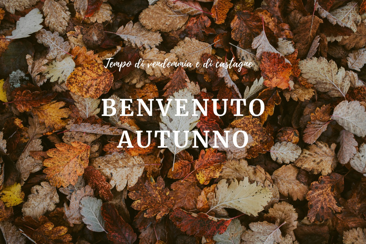 Buongiorno e buon autunno 2023, 23 settembre frasi e immagini