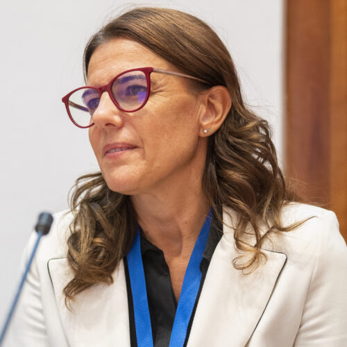 Tania Tellini, coordinatrice delle attività del settore acqua di Utilitalia