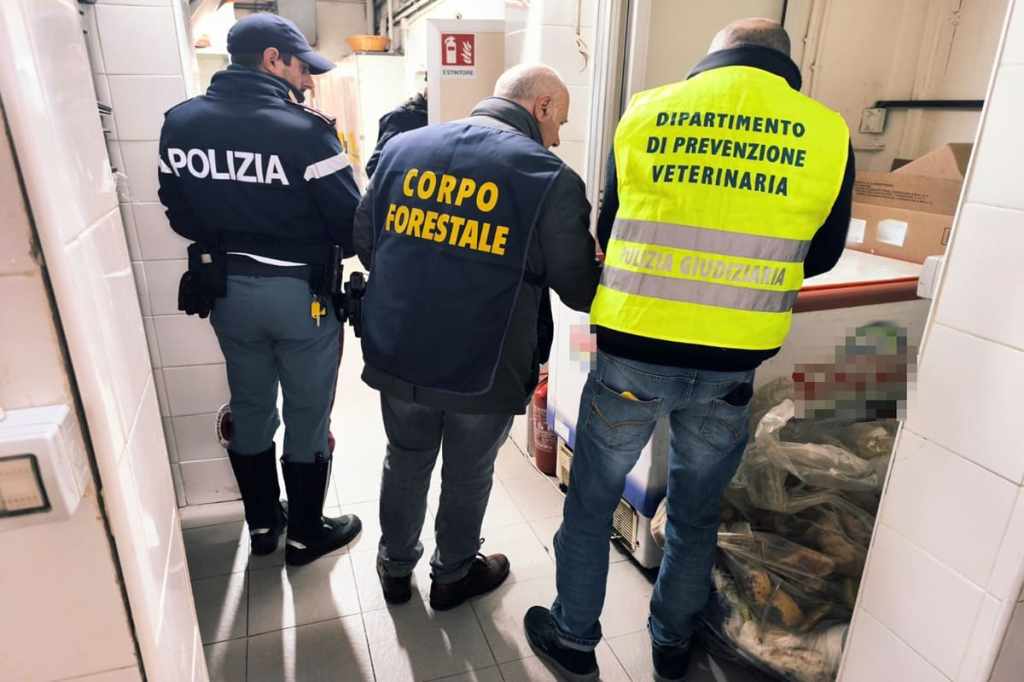 Controllo in bar di via Etnea a Catania, blatte e altre irregolarità (2)