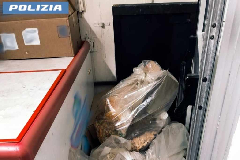 Controllo in bar di via Etnea a Catania, blatte e altre irregolarità (3)